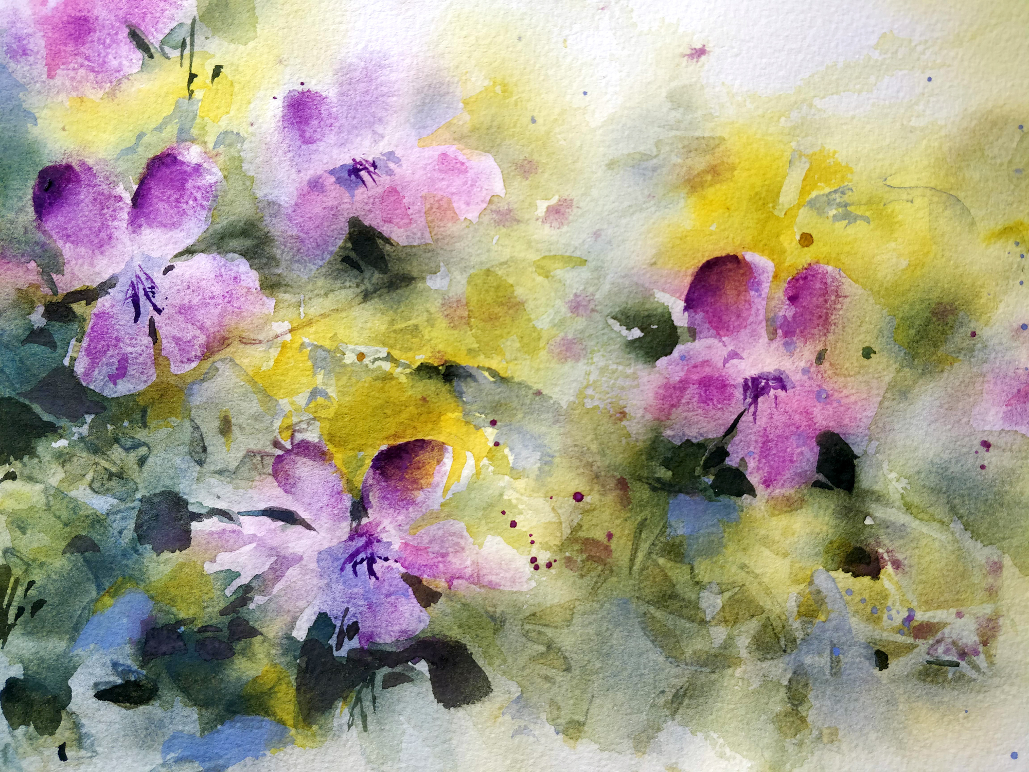 Peindre des violettes à l'aquarelle - Ursula Schichan