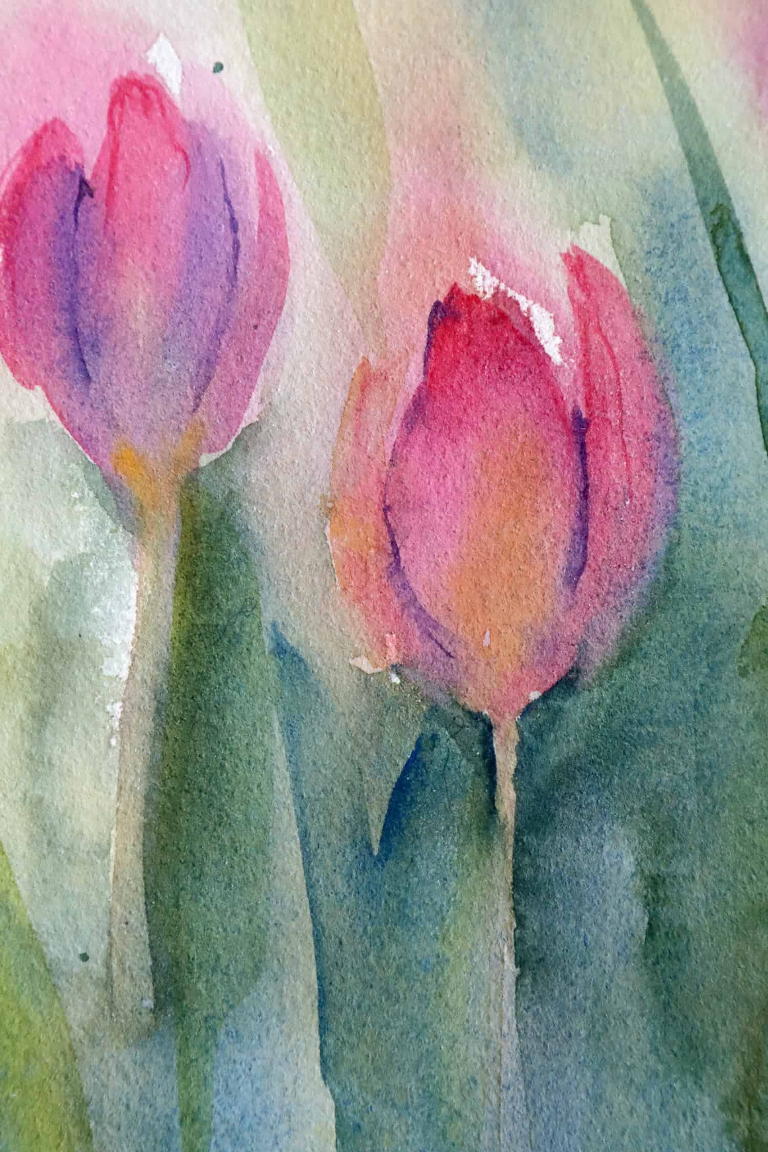 Peindre des tulipes légère et fluide à l'aquarelle - Ursula Schichan