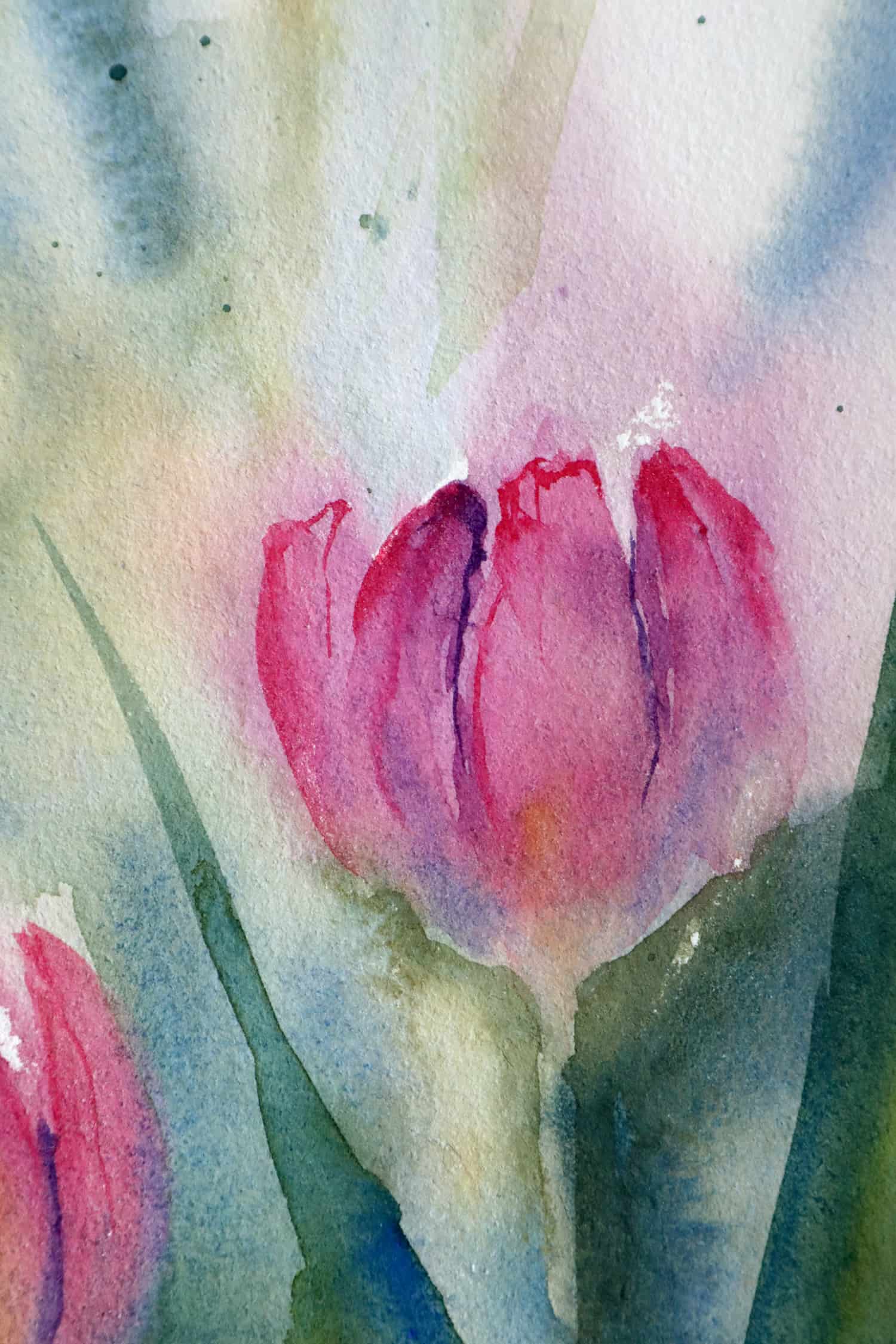 Peindre des tulipes légère et fluide à l'aquarelle - Ursula Schichan
