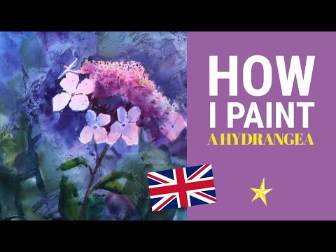 Painting hydrangeas in watercolor and acrylic - ENGLISH VERSION