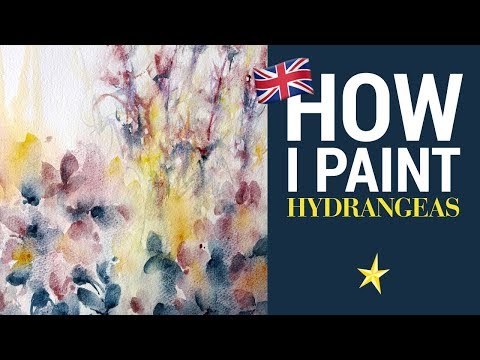 Hydrangeas and watercolor, experiments - ENGLISH VERSION