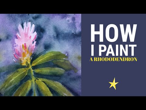 Painting rhododendron buds in watercolor