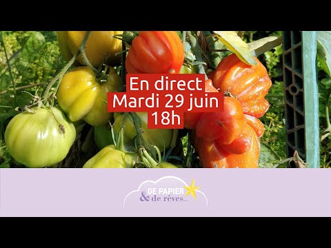 Direct 7/09 : Peindre des tomates à l&#039;aquarelle