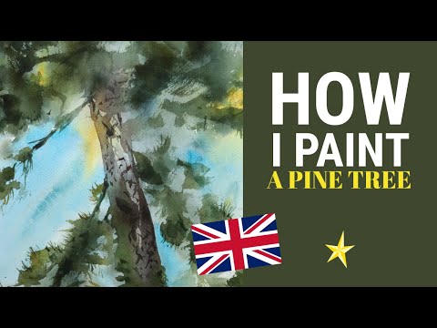 Portrait of a pine tree in watercolor - ENGLISH VERSION
