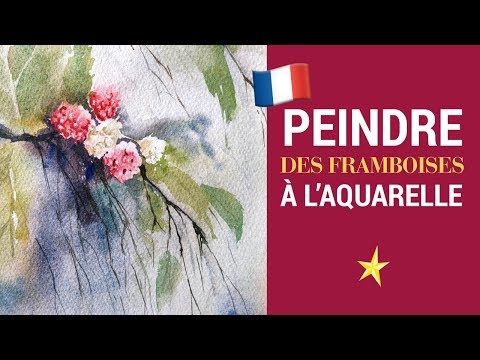 Framboises à l&#039;aquarelle - VERSION FRANÇAISE