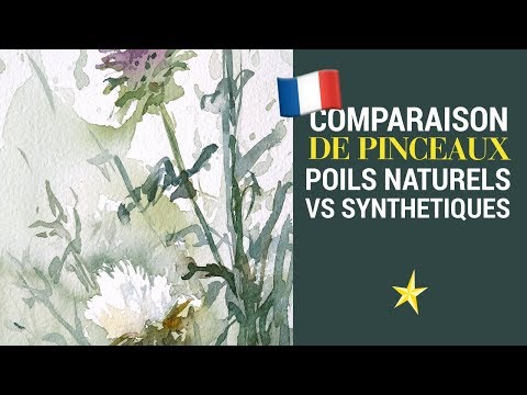 Comparaison pinceaux naturels et synthétiques - VERSION FRANÇAISE