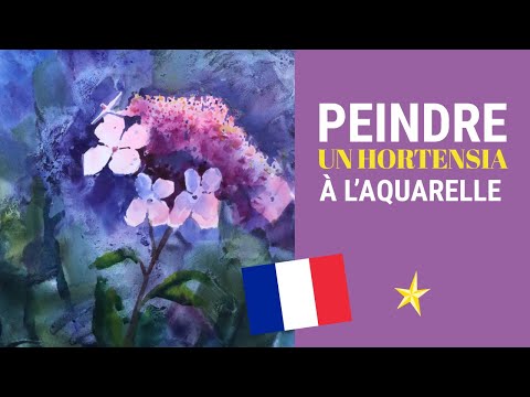Peindre un hortensia à l&#039;aquarelle et acrylique - VERSION FRANÇAISE