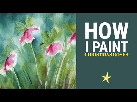Painting christmas roses in watercolor