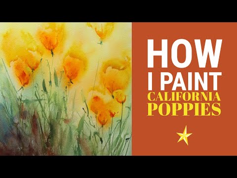 California poppies in watercolor