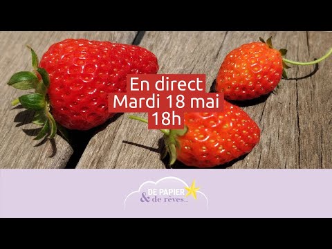 Direct 18/05 : Peindre des fraises à l&#039;aquarelle