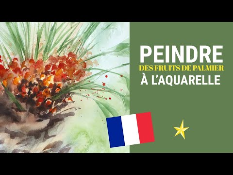 Peindre des fruits de palmier à l&#039;aquarelle - VERSION FRANÇAISE
