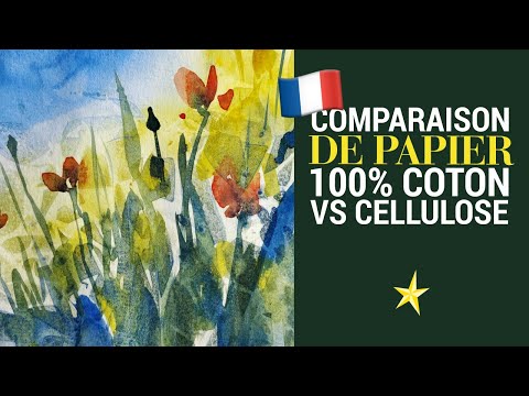 Comparaison : papier 100% coton vs papier cellulose - VERSION FRANÇAISE