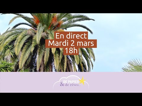 Direct 2/03 : Peindre un palmier à l&#039;aquarelle