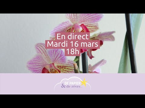 Direct 16/03 : Peindre des orchidées à l&#039;aquarelle