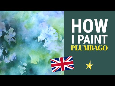Painting plumbago in watercolor - ENGLISH VERSION