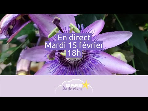 Direct 15/02 : Fleur de la passion à l&#039;aquarelle et papier torchon/satiné