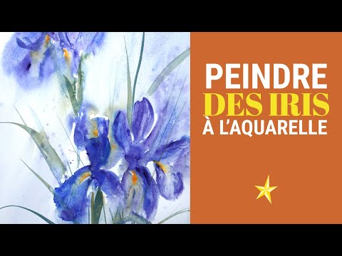 Peindre des iris à l&#039;aquarelle