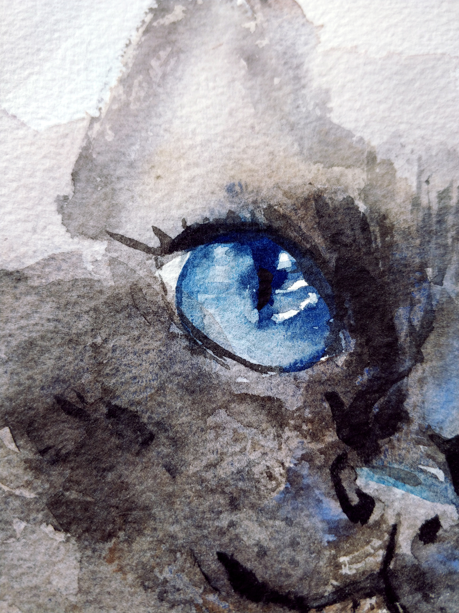 Detail of an eye