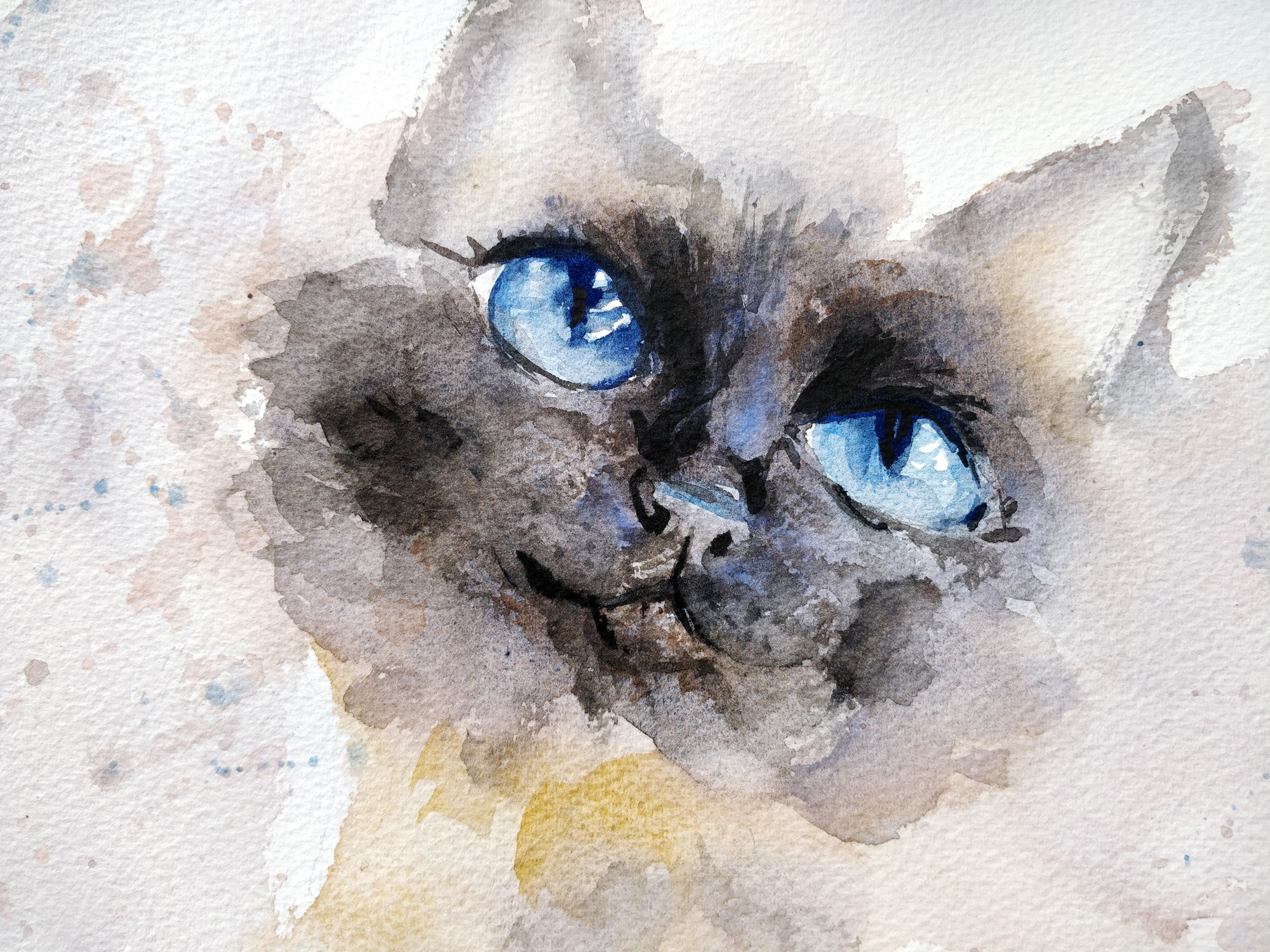 Les yeux d'un chat à l'aquarelle