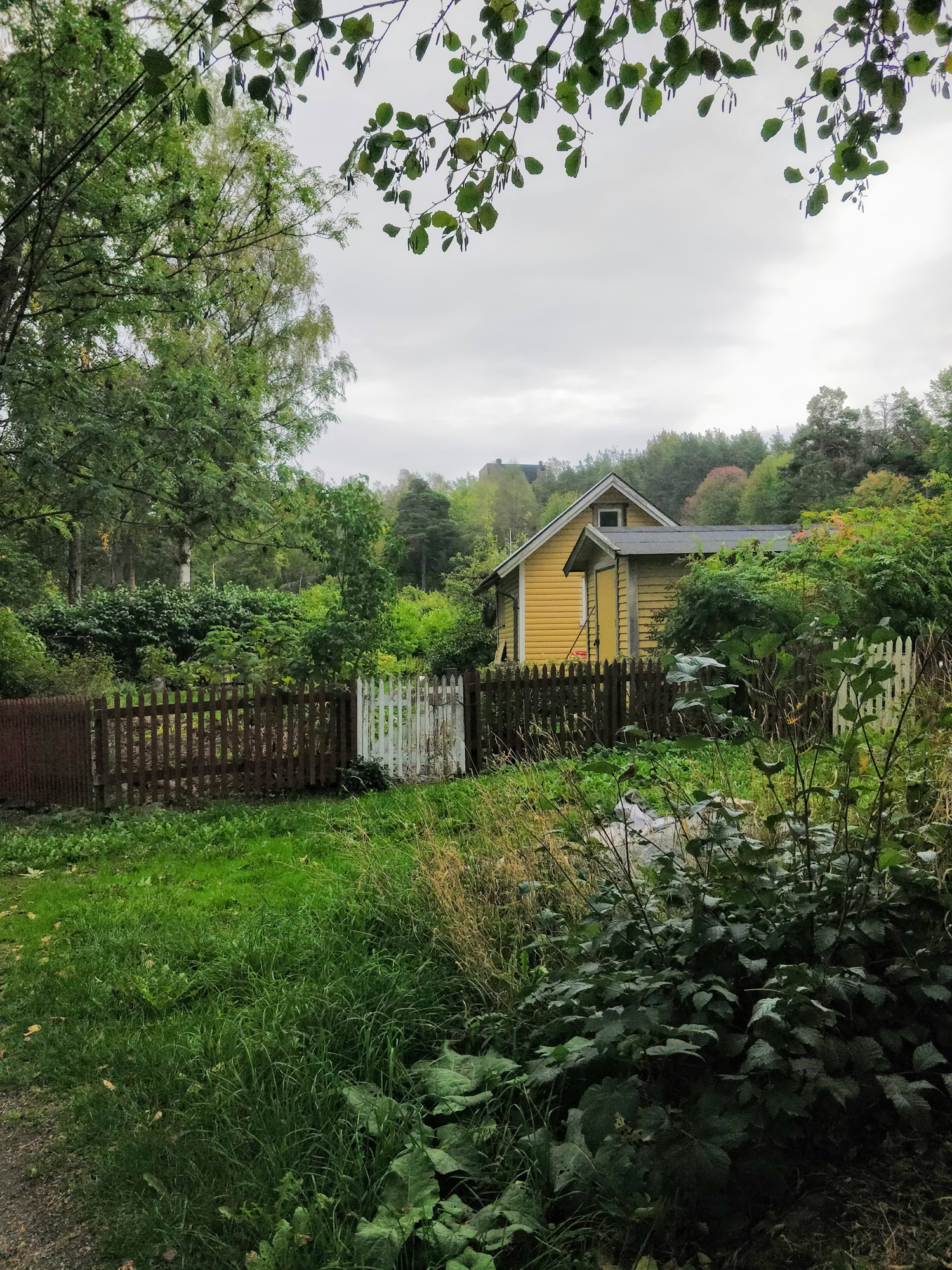 Image de référence - un jardin communal avec une cabane.