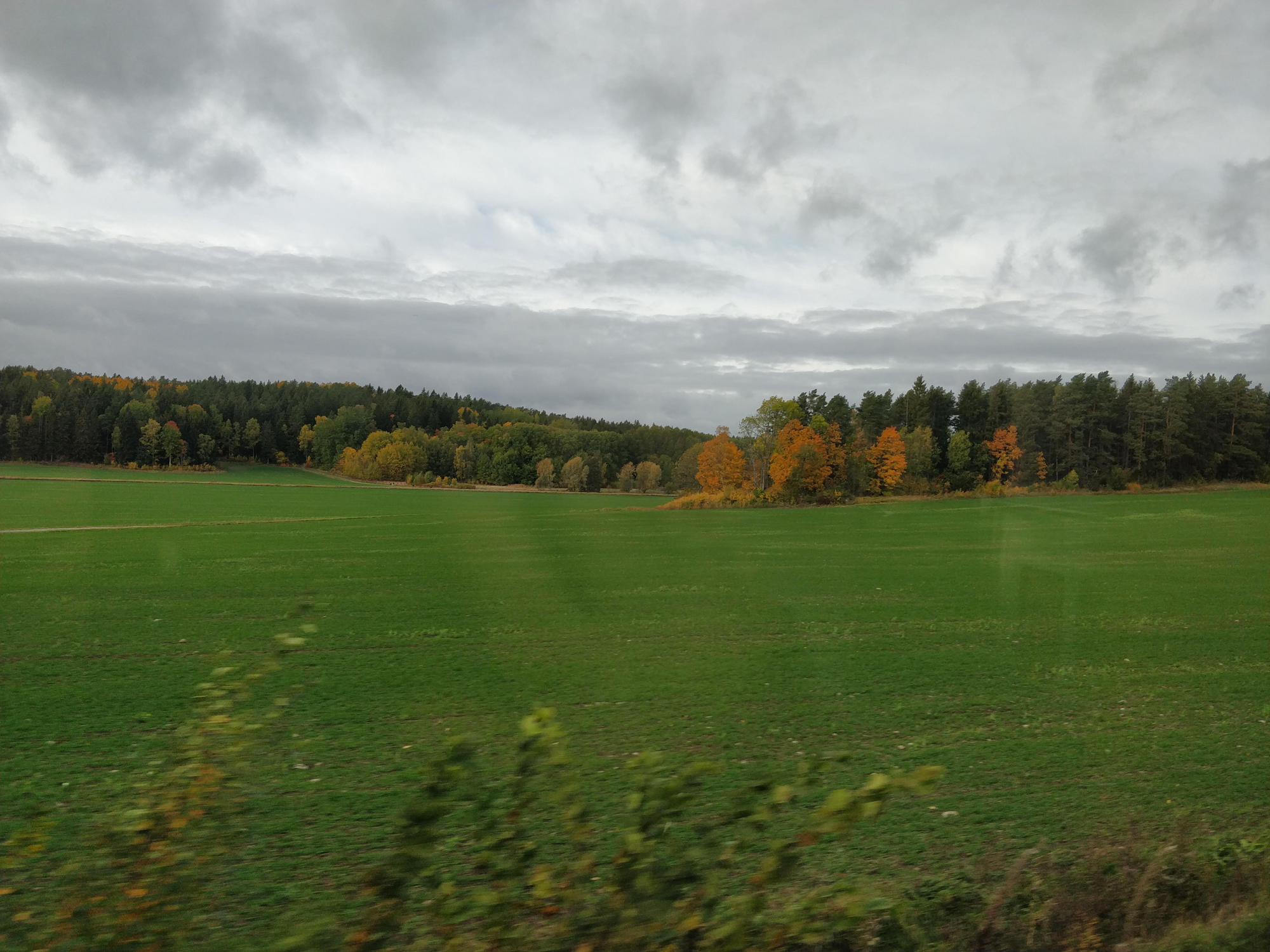 Paysage d'automne, image de référence