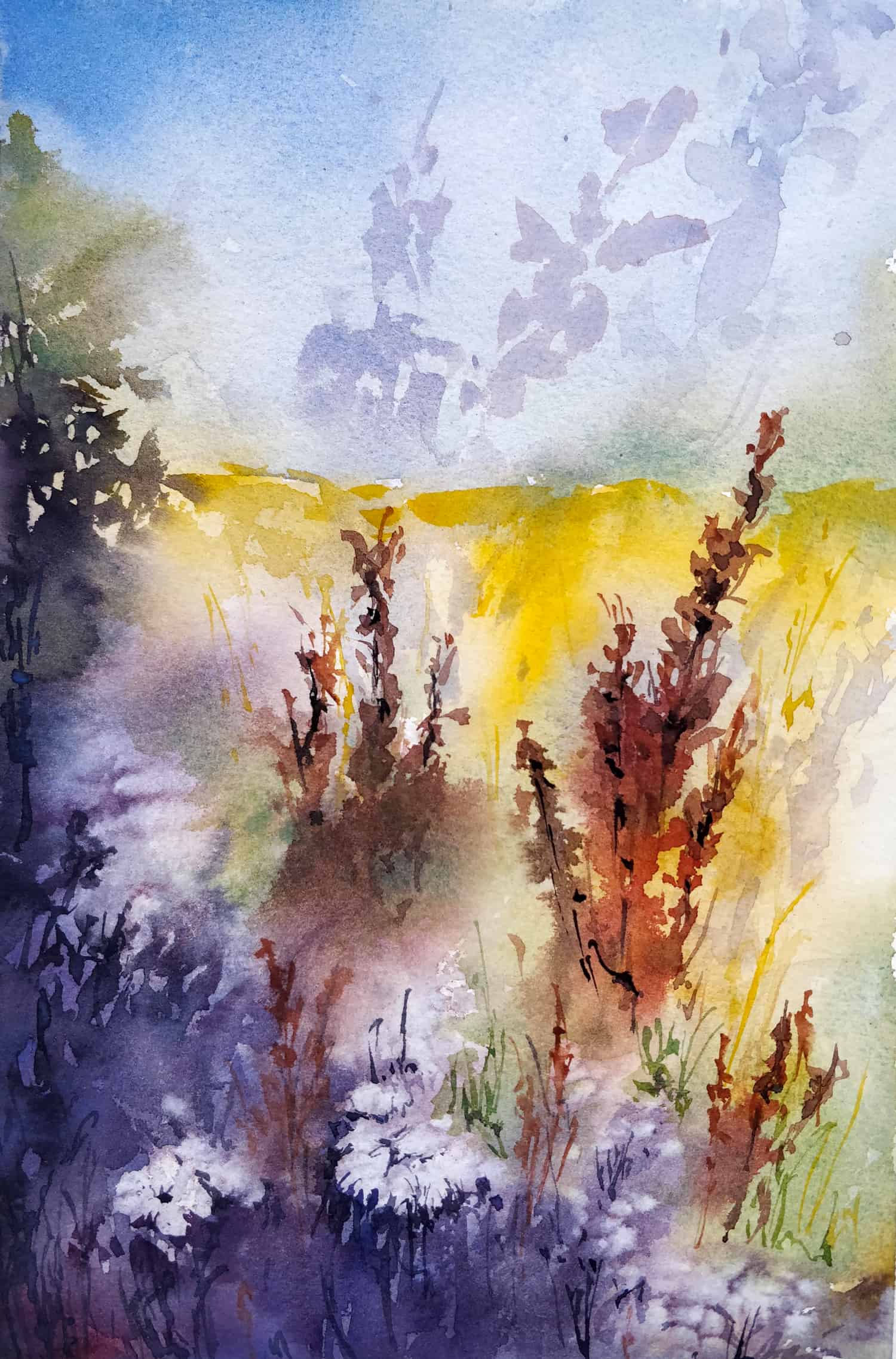 Un champs de fleurs sauvages à l'aquarelle - Ursula Schichan