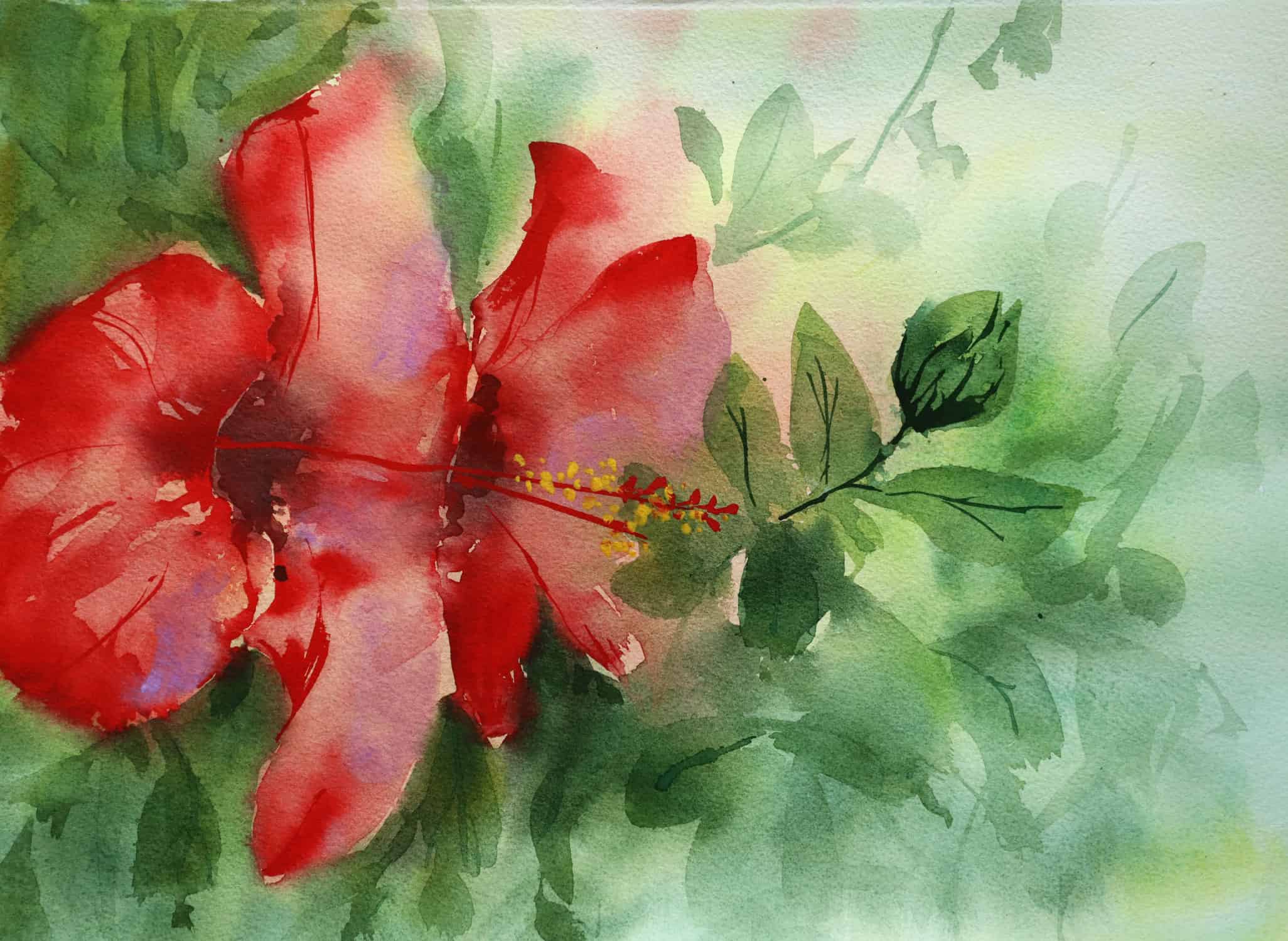 Painting an hibiscus in watercolor - Ursula Schichan