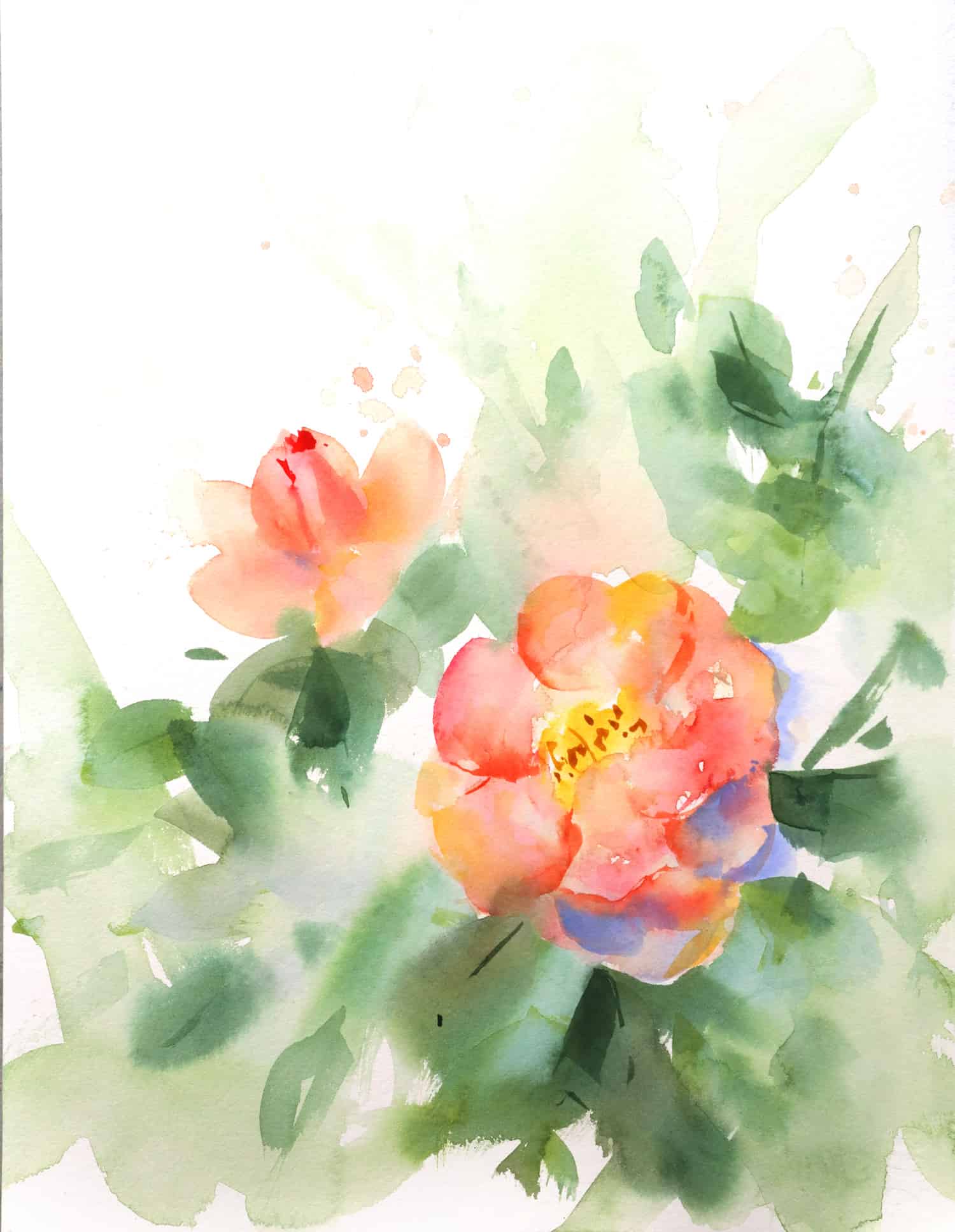 Peindre des roses à l'aquarelle - Facile - Ursula Schichan