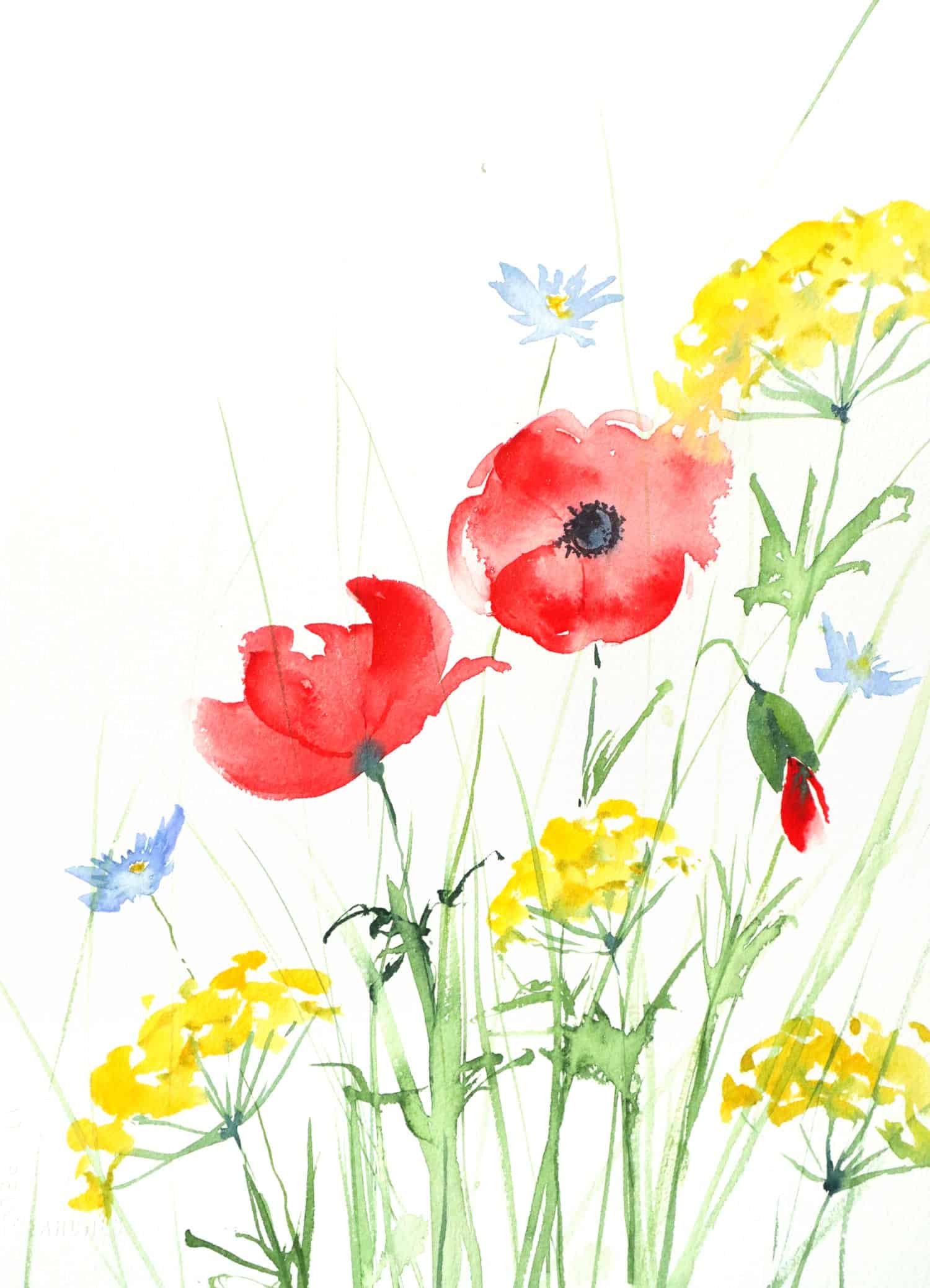 Peindre des fleurs des champs à l'aquarelle - Facile - Ursula Schichan